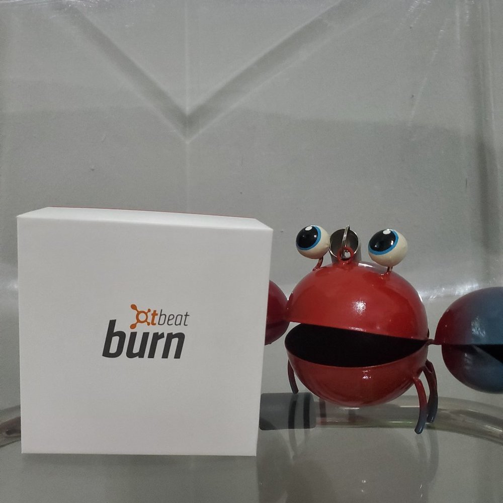 Orange Theory OTF Beat Burn 2.0 Wrist Bracelet Heart Rate Monitor BLUETOOTH